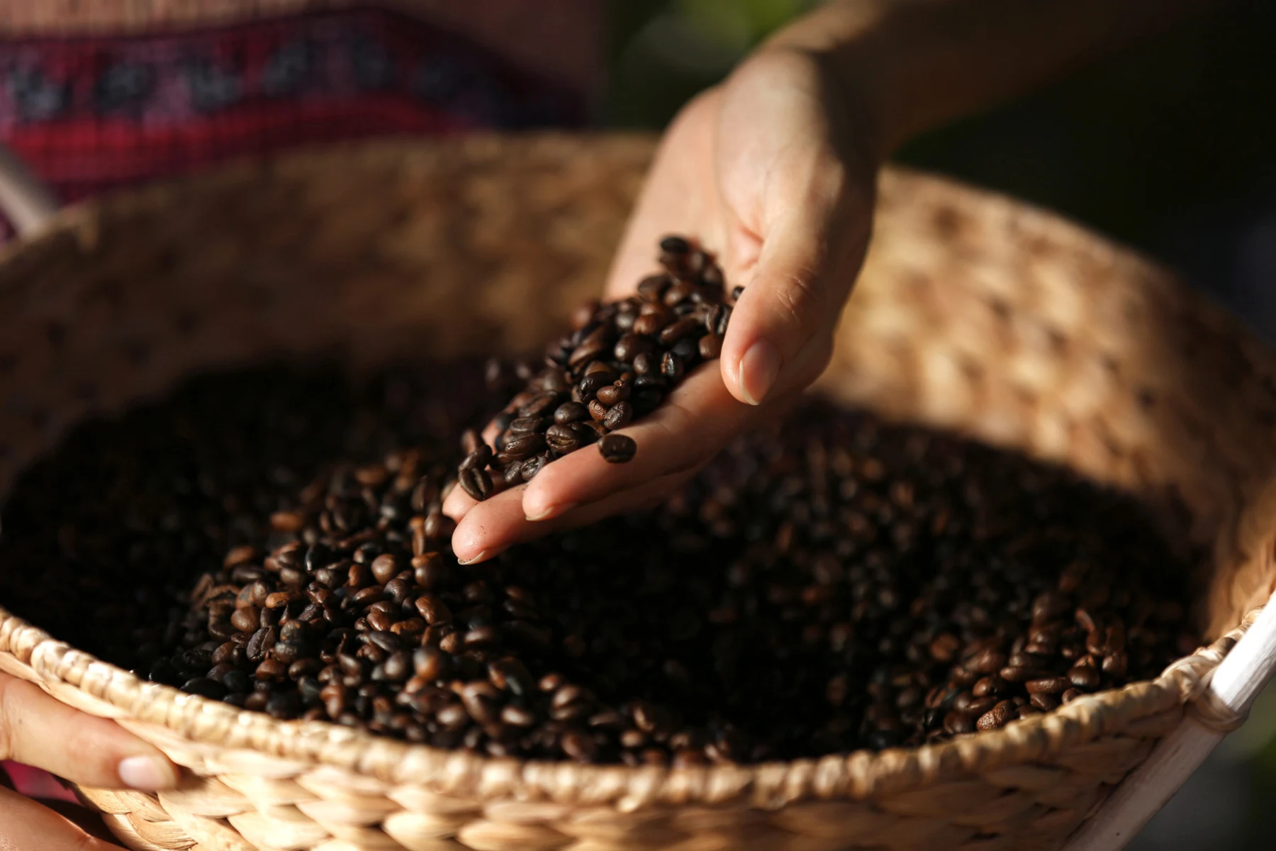 Кофе Nesil Coffee